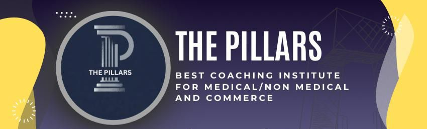 THE PILLARS Education Banner